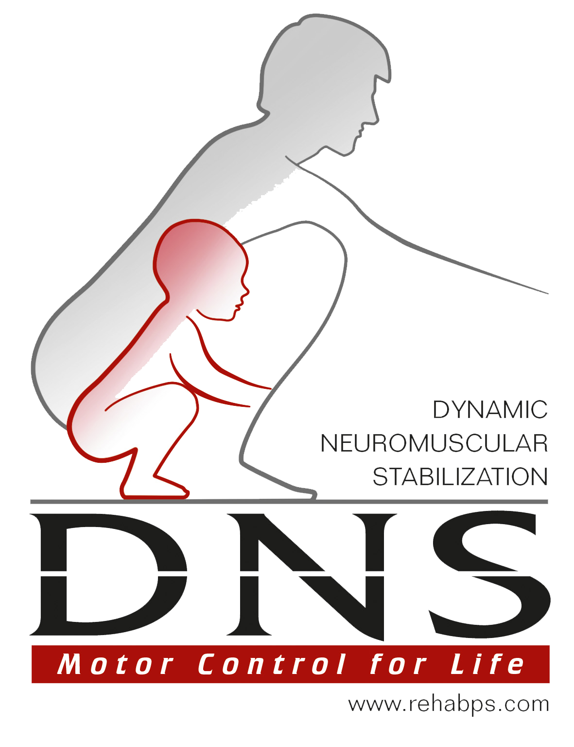 DNS Logo